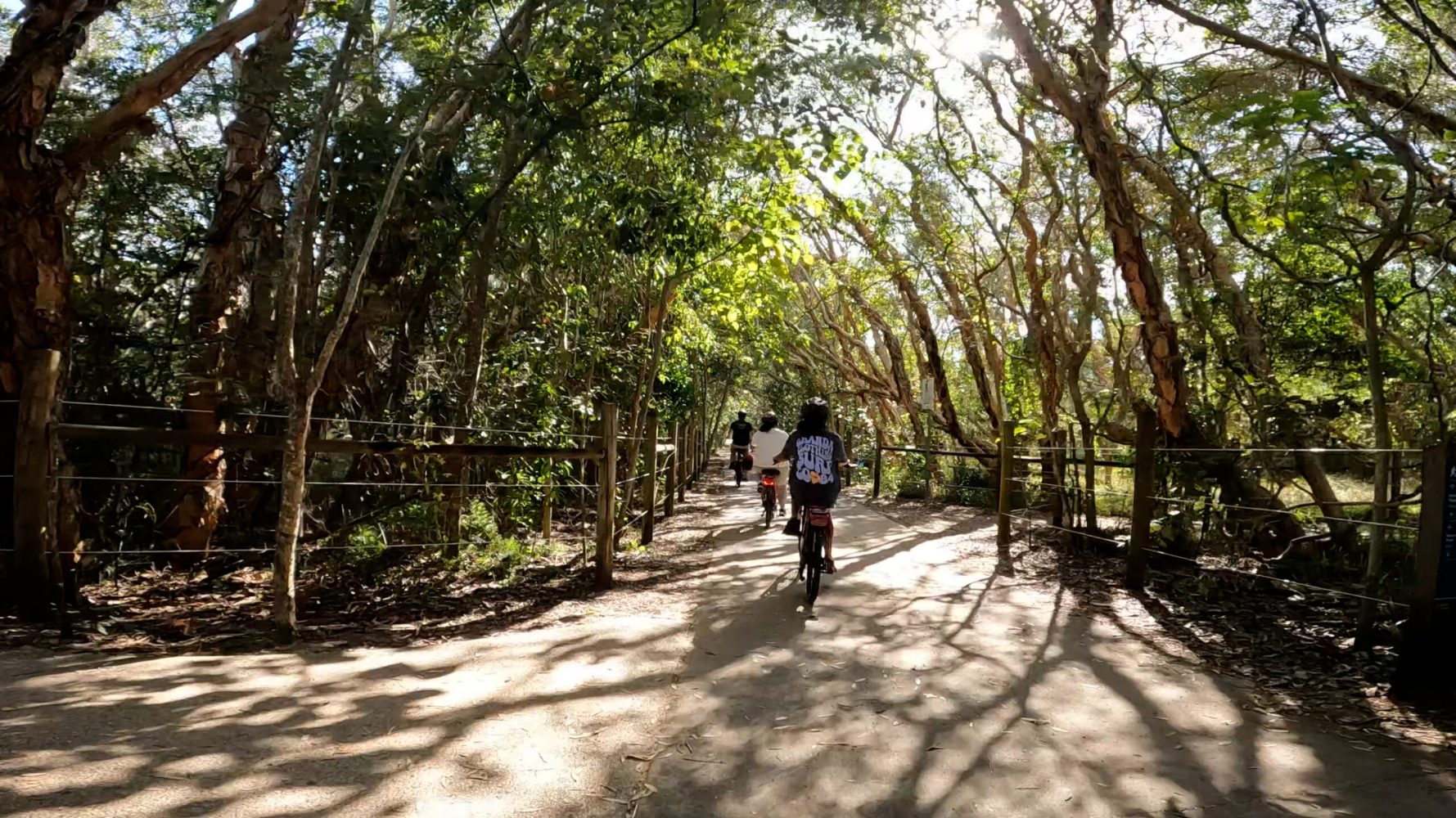 mum and her two daughters riding e-bike through the Marcoola tree tunnel